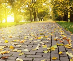 Road in autumn wallpaper