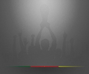 FIFA Football World Cup 2010 - Cameroon wallpaper