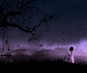 The Birds at Midnight wallpaper