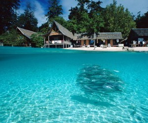 Split-View of Sipadan Island, Borneo wallpaper