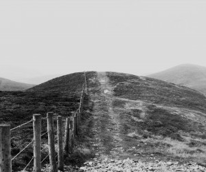 Picket-fence by Sylwia Bartyzel wallpaper