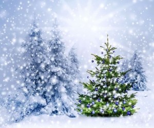 christmas tree wallpaper