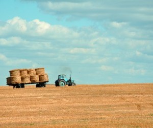 fields wallpaper