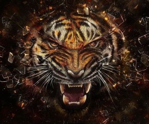 Tiger wallpaper