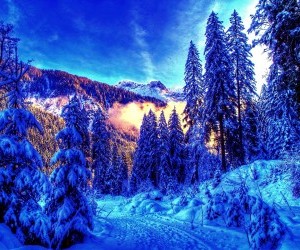 Snow forest moon winter landscape wallpaper