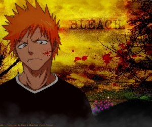 bleach - Ichigo wallpaper