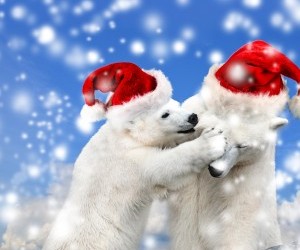 christmas bears wallpaper