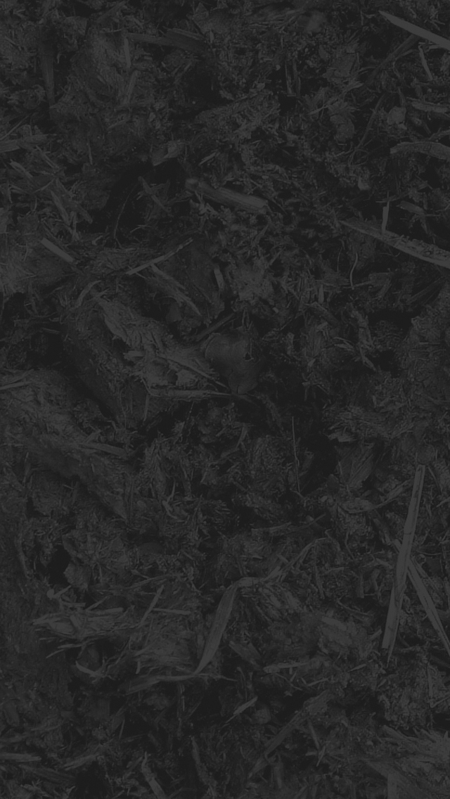 leaves Soil iphone 5 wallpaper download