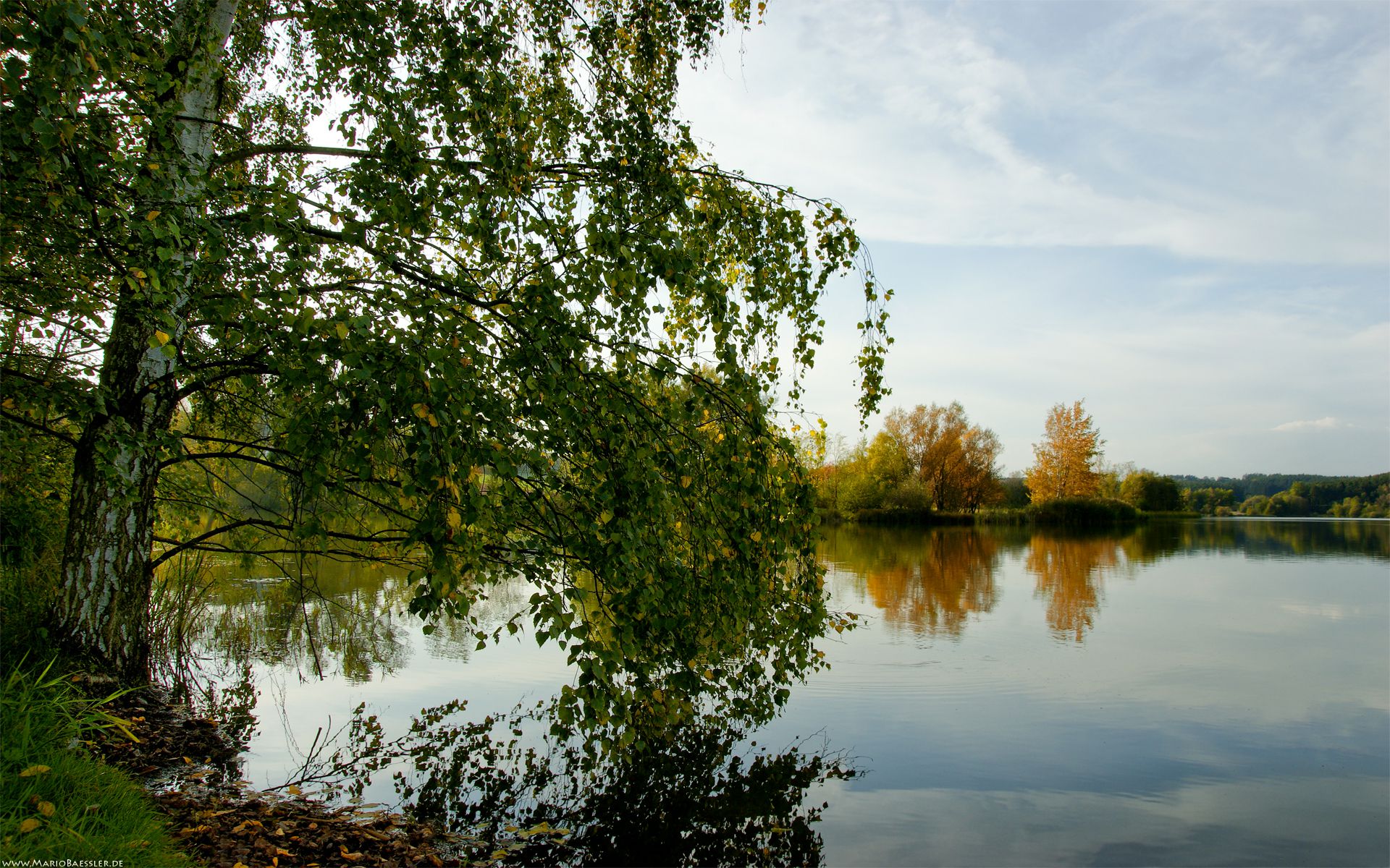 Spring grass wallpaper download