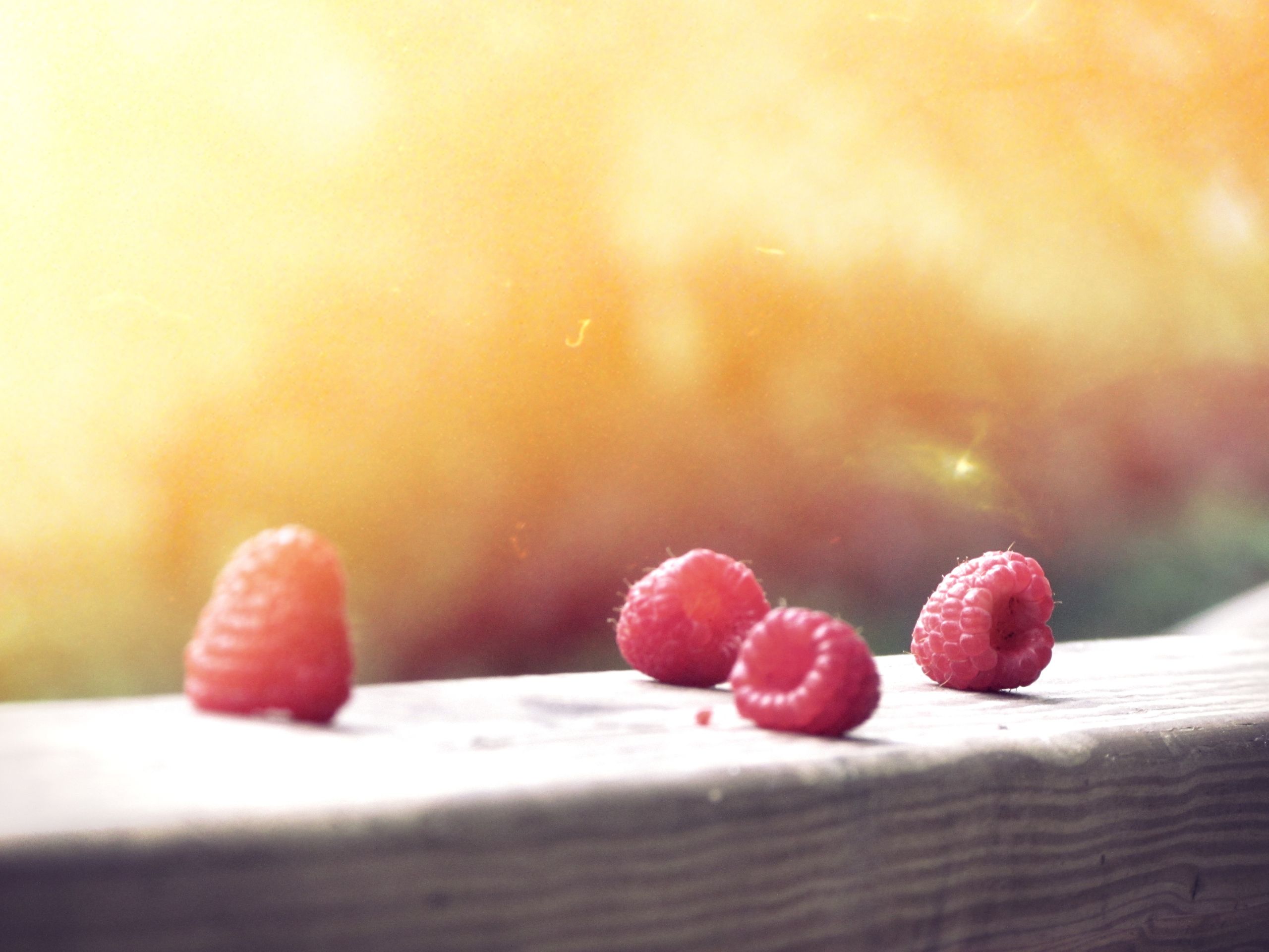 berries wallpaper download