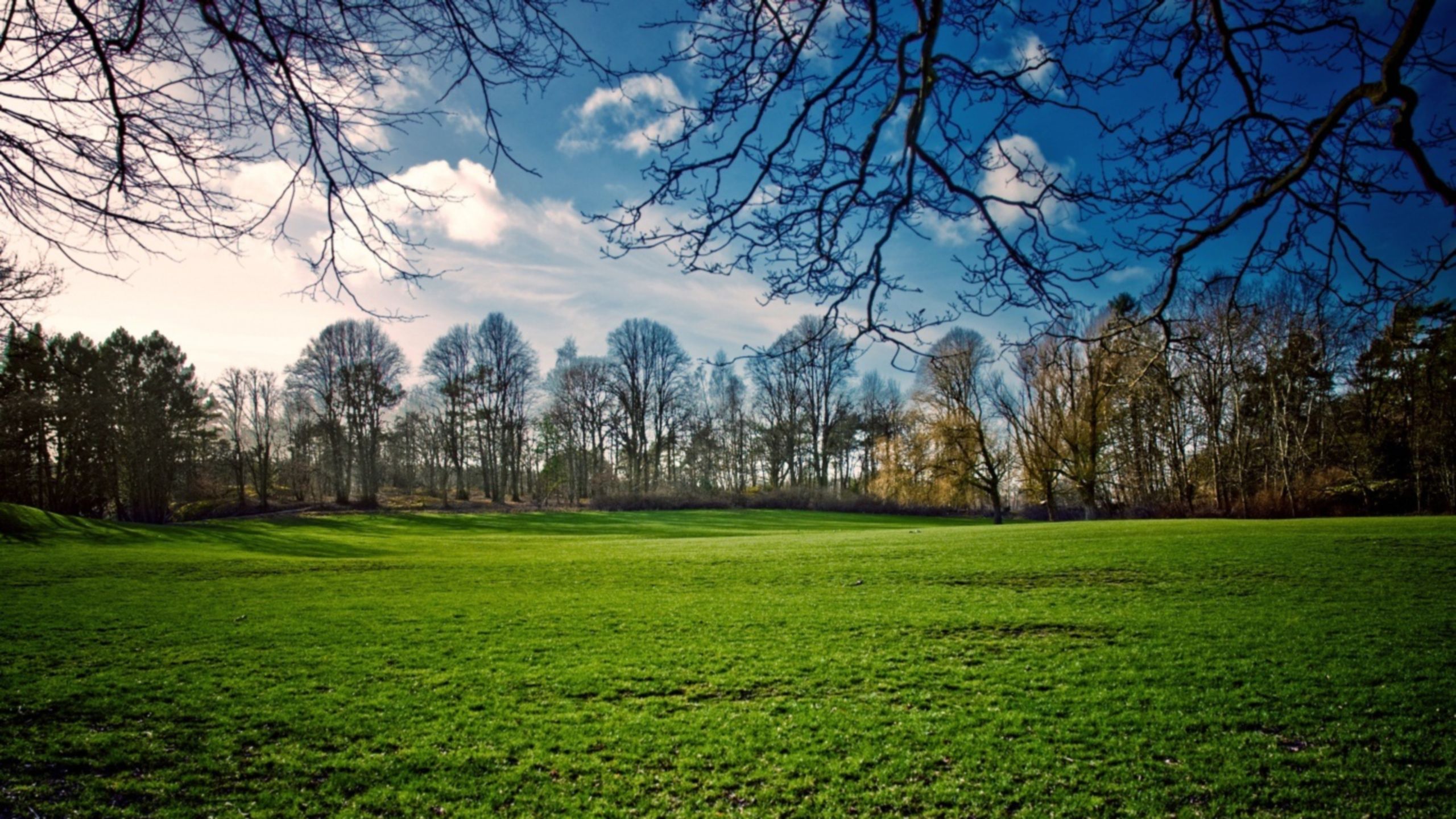 Meadow Spring wallpaper download