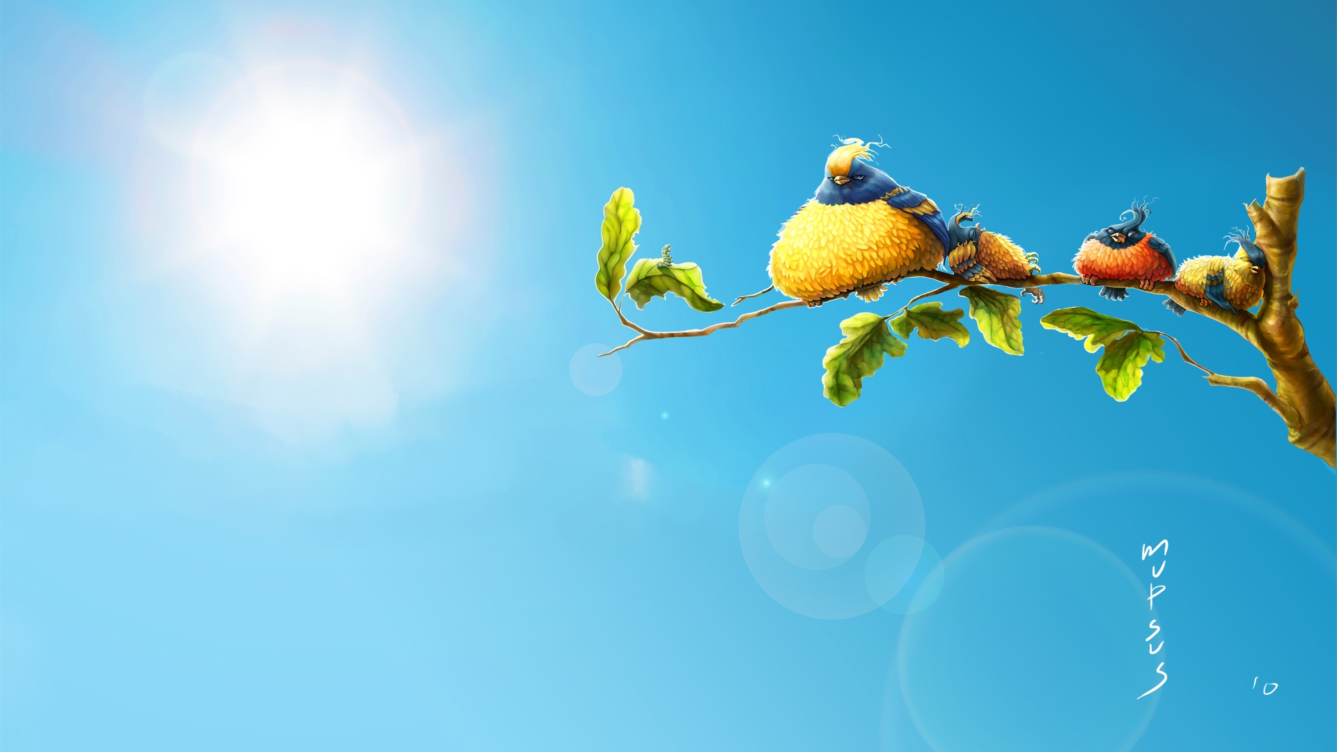 sun birds wallpaper download