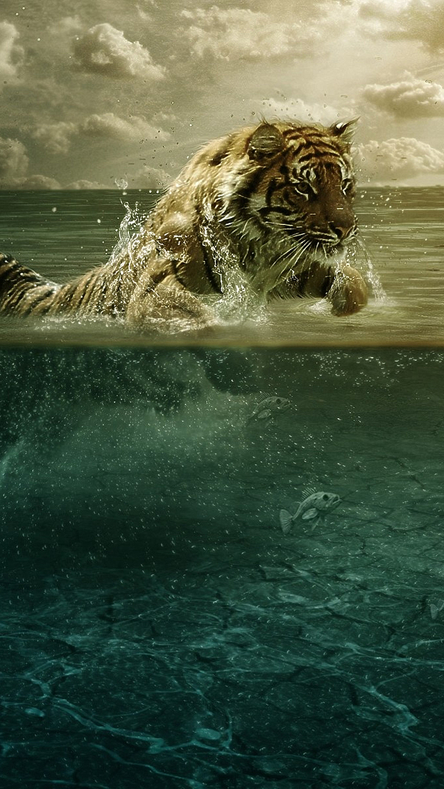 water tiger wallpaper download