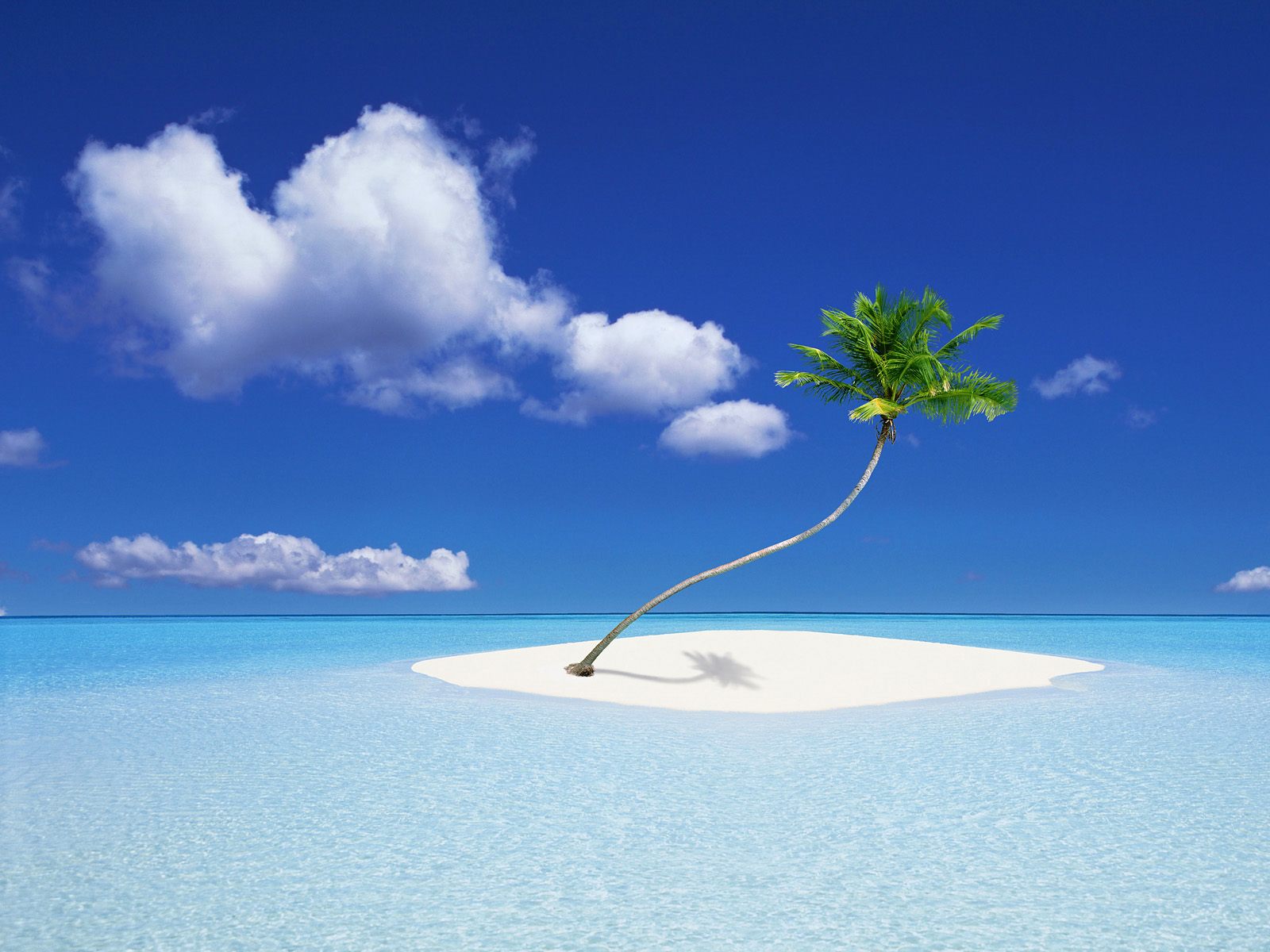 Island Holiday wallpaper download