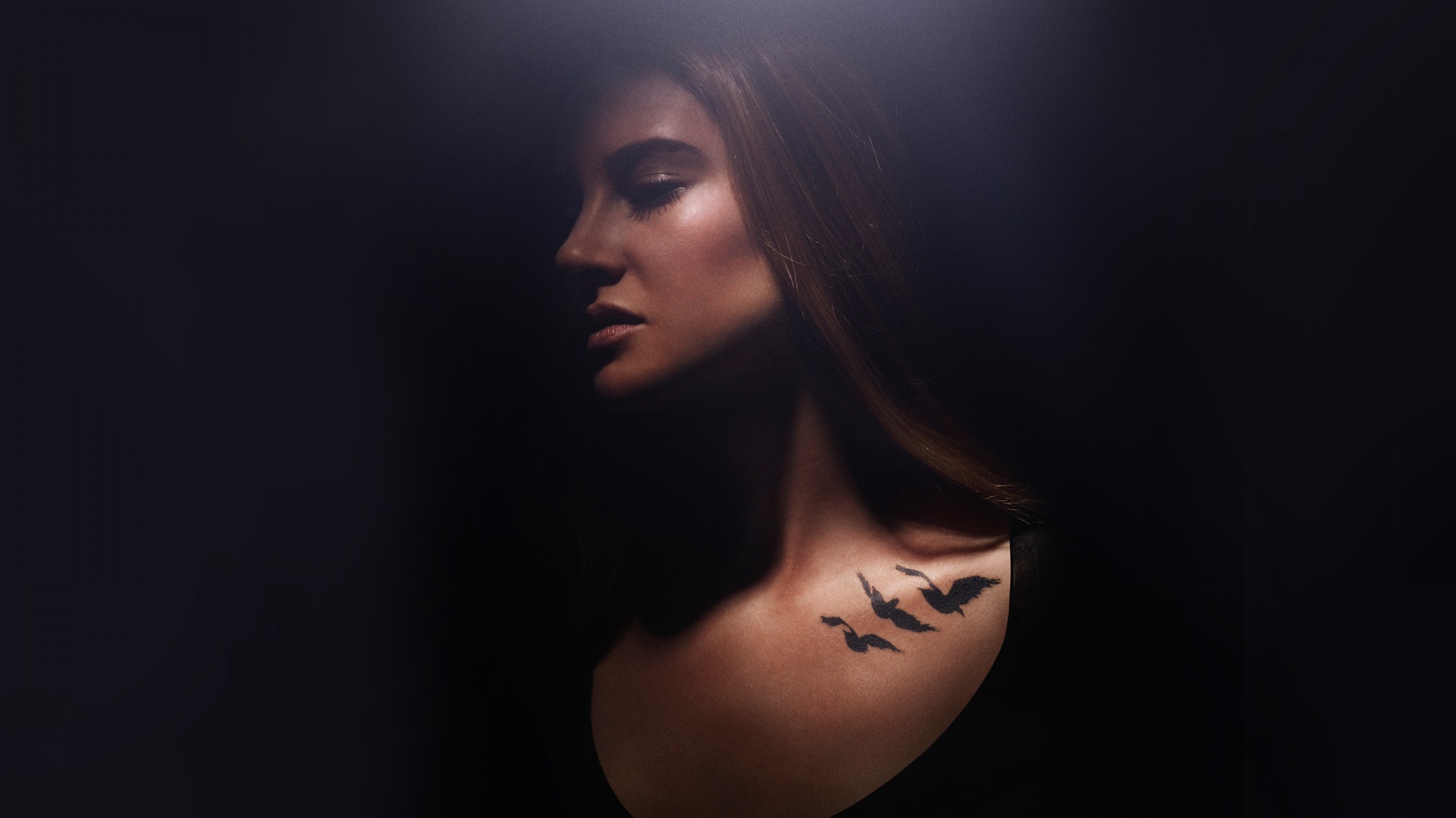 shailene woodley in divergent wallpaper download