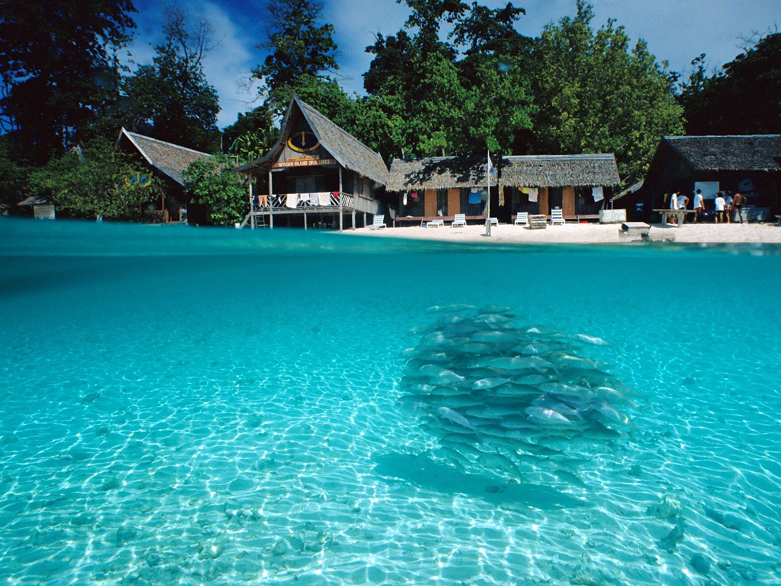 Split-View of Sipadan Island, Borneo wallpaper download