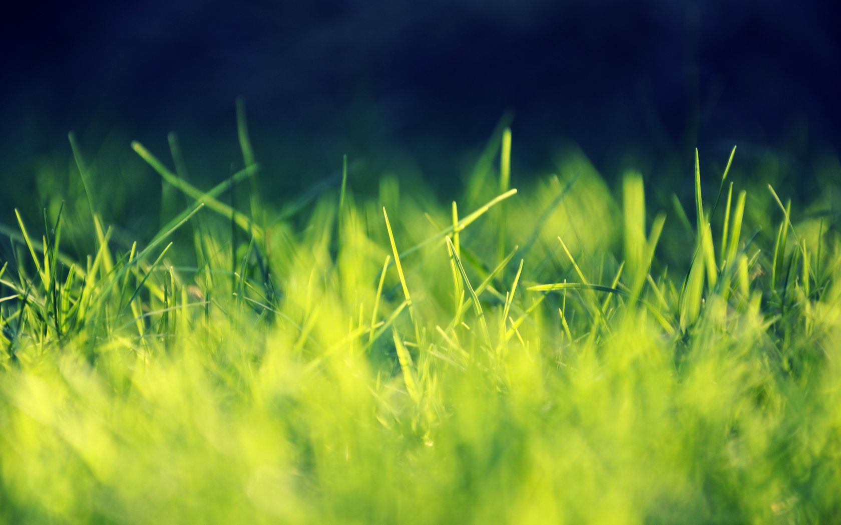 Nude Grass wallpaper download