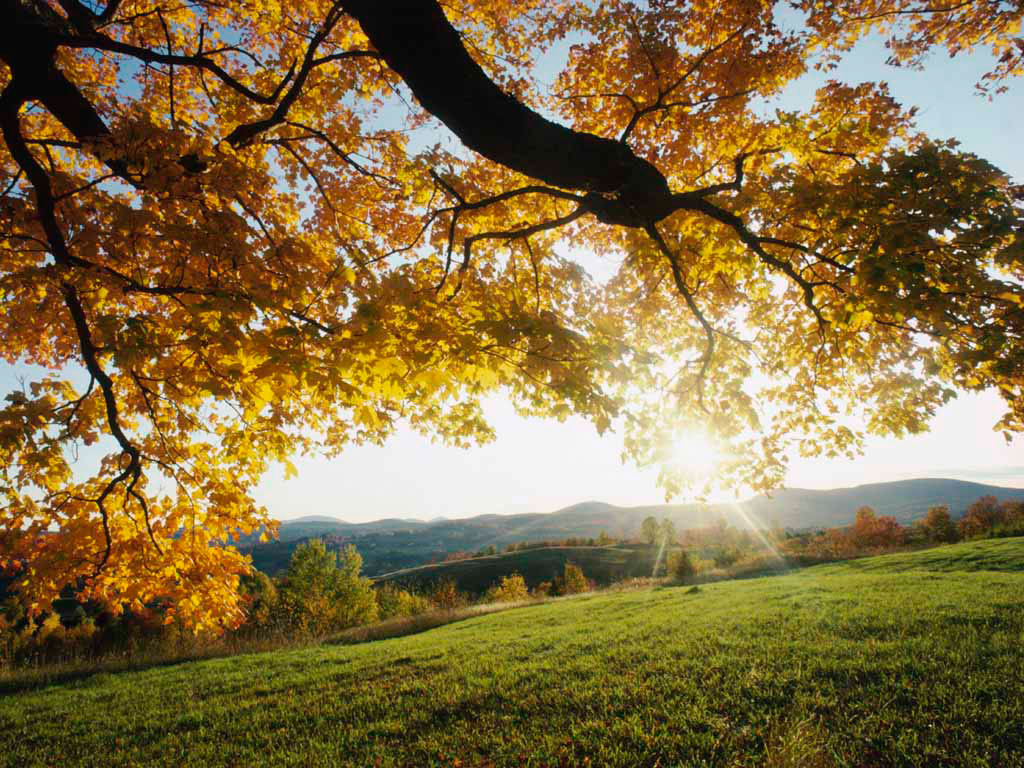 Autumn wallpaper download