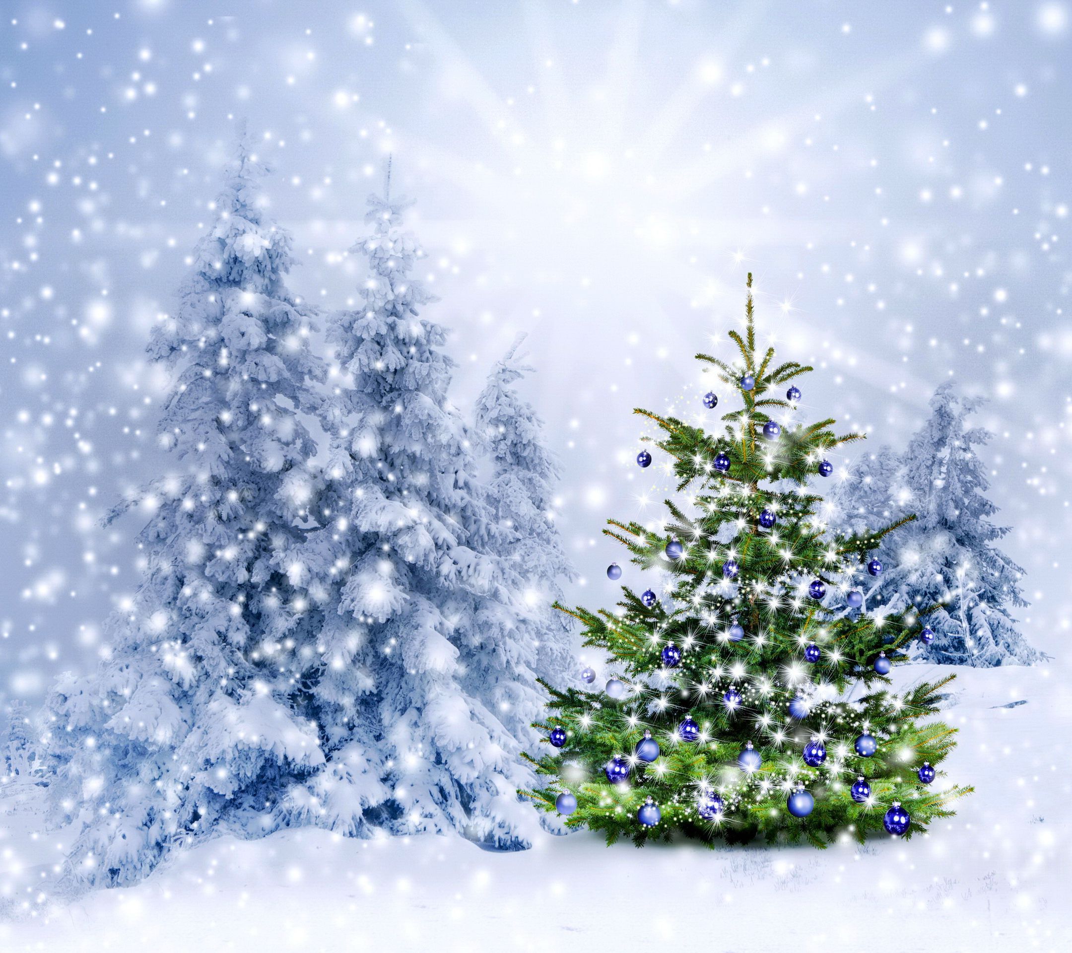 christmas tree wallpaper download