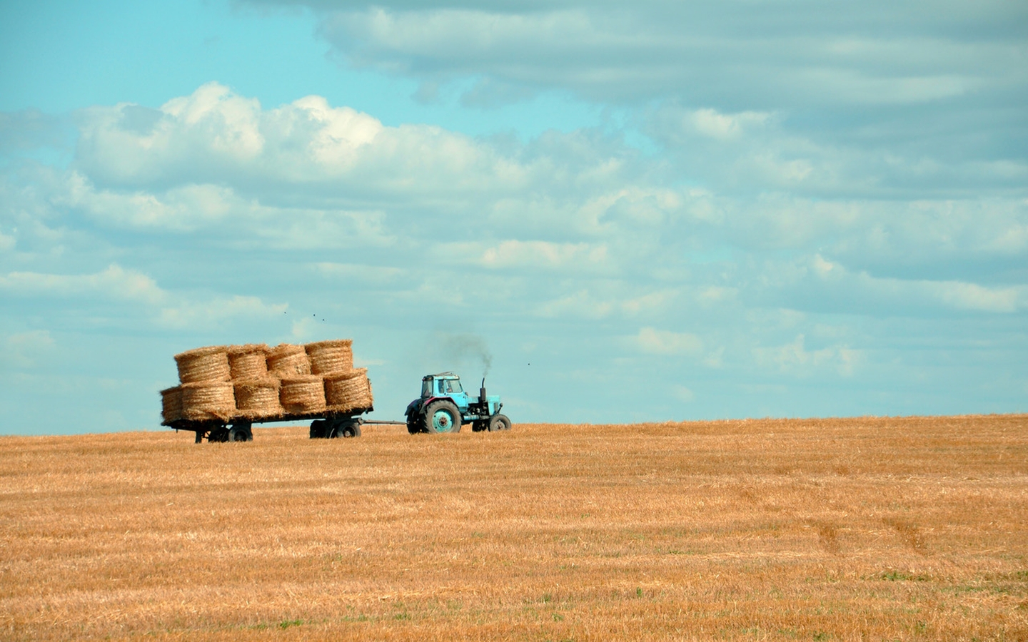 fields wallpaper download