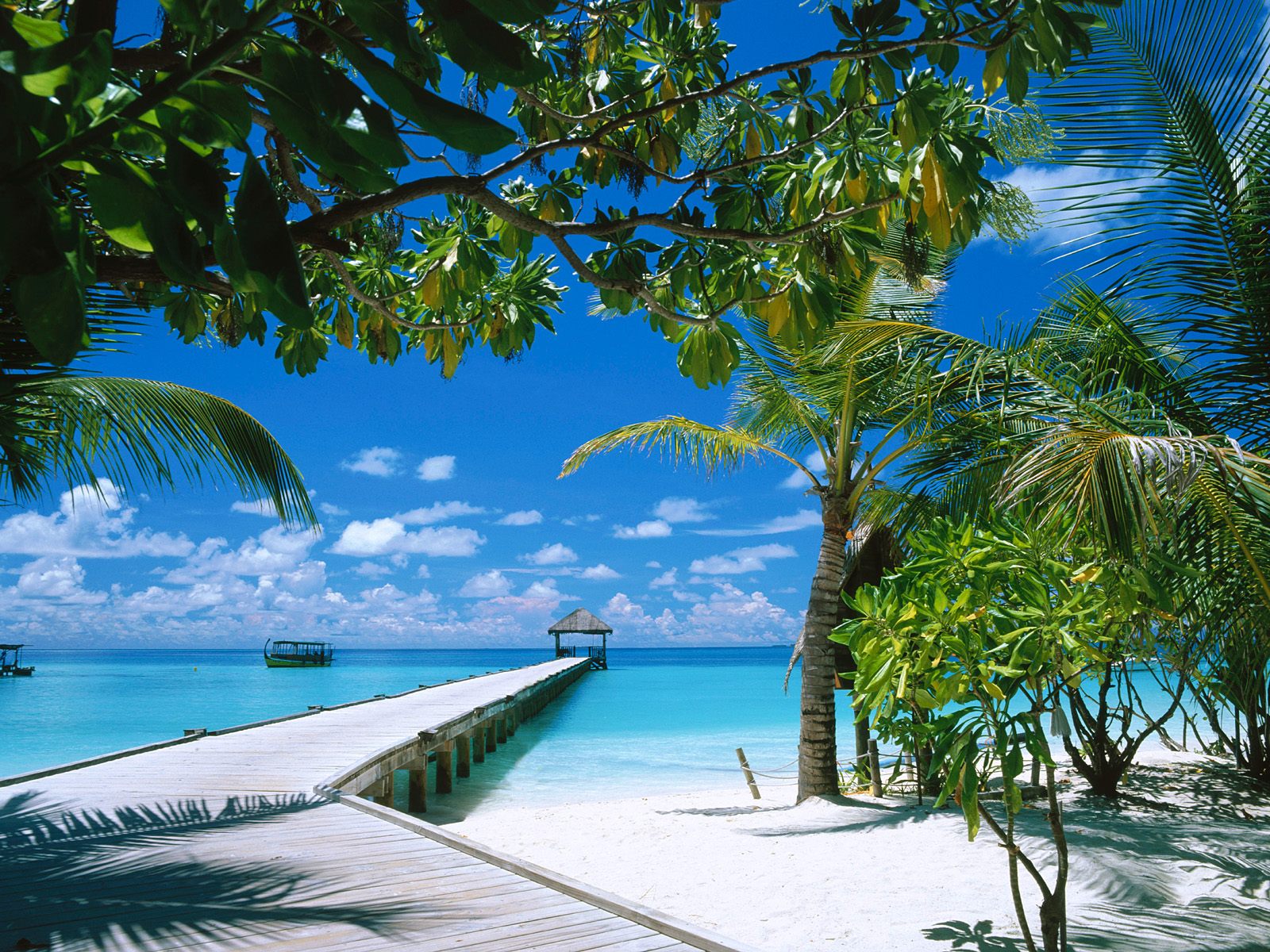 Ari Atoll, Maldives wallpaper download