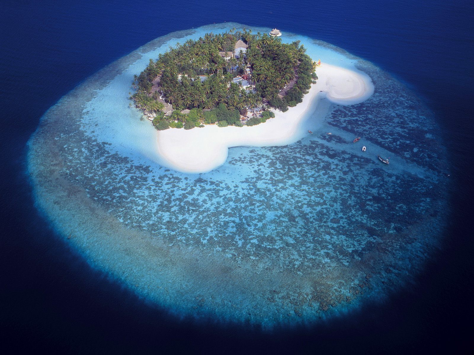 Aerial View of a Tropical Island, Maldives wallpaper download