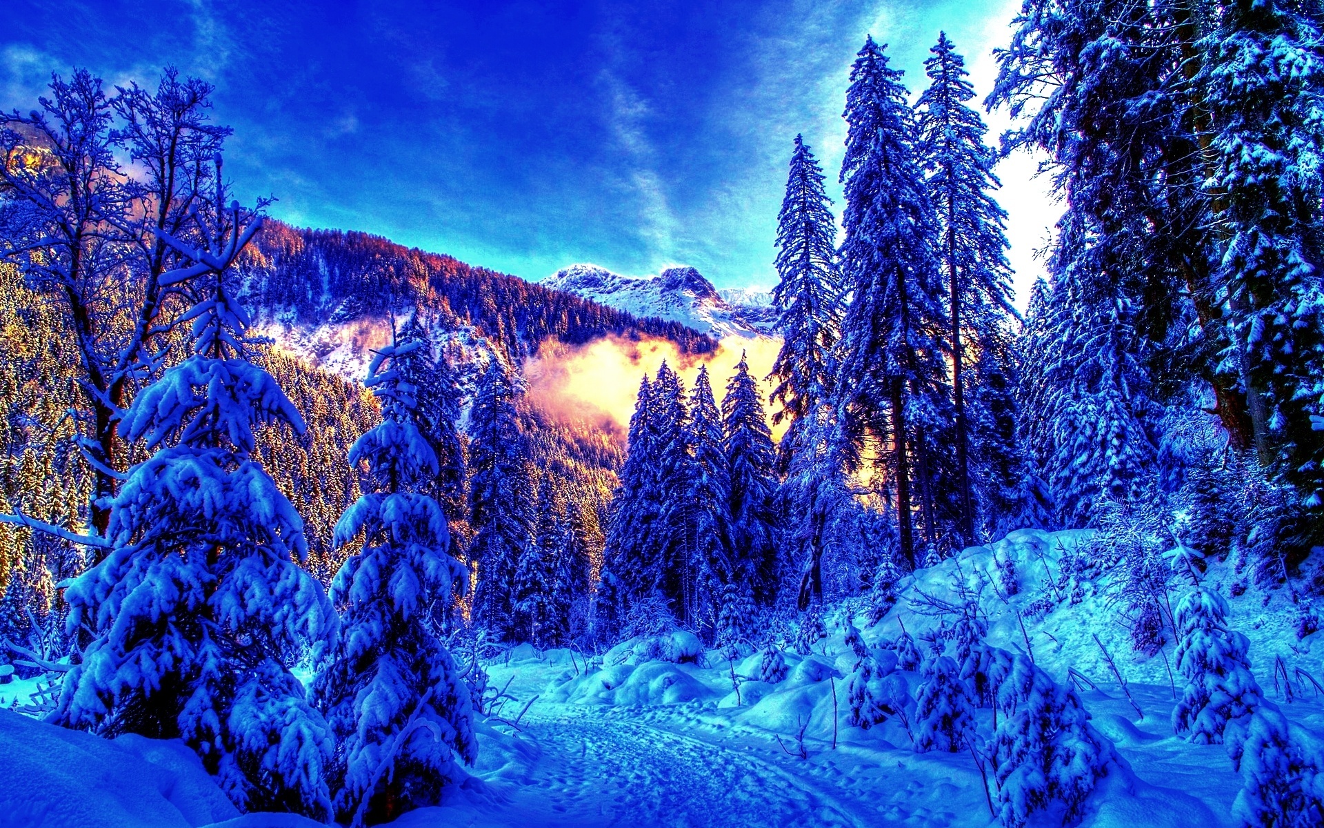 Snow forest moon winter landscape wallpaper download