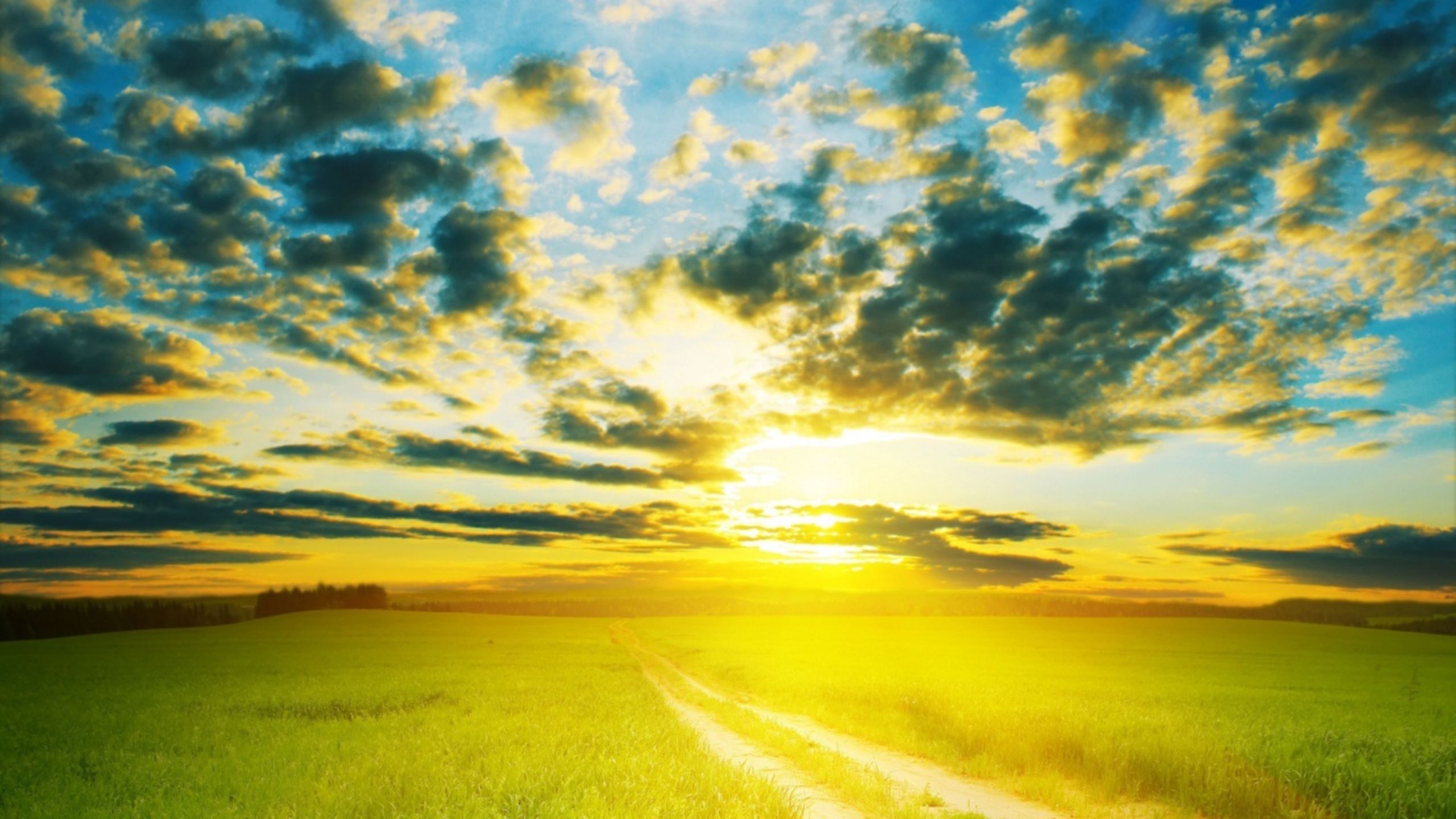 Path In The Field On The Sunset wallpaper download