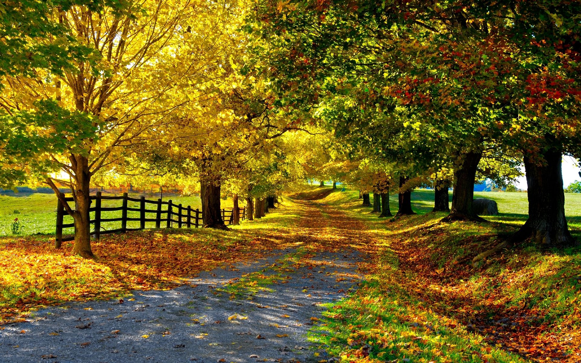 autumn wallpaper download