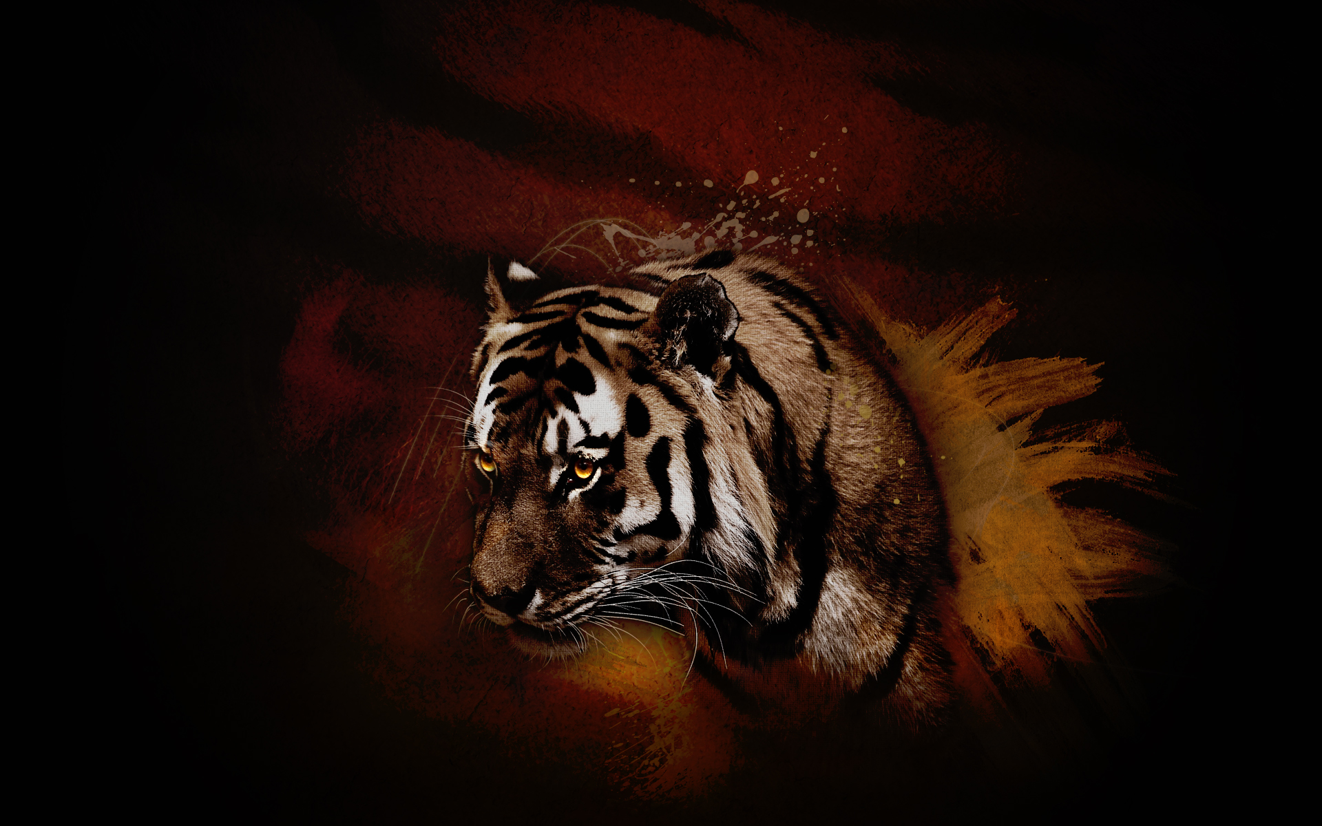 Dark Tiger wallpaper download