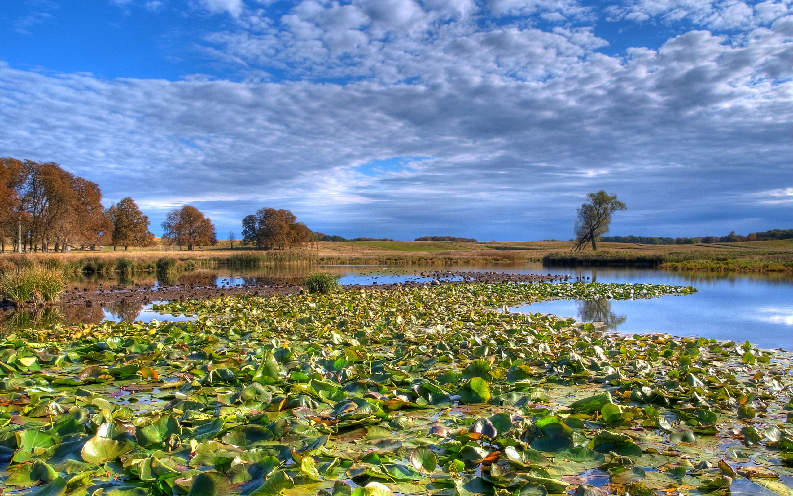 Lake Hambourg wallpaper download