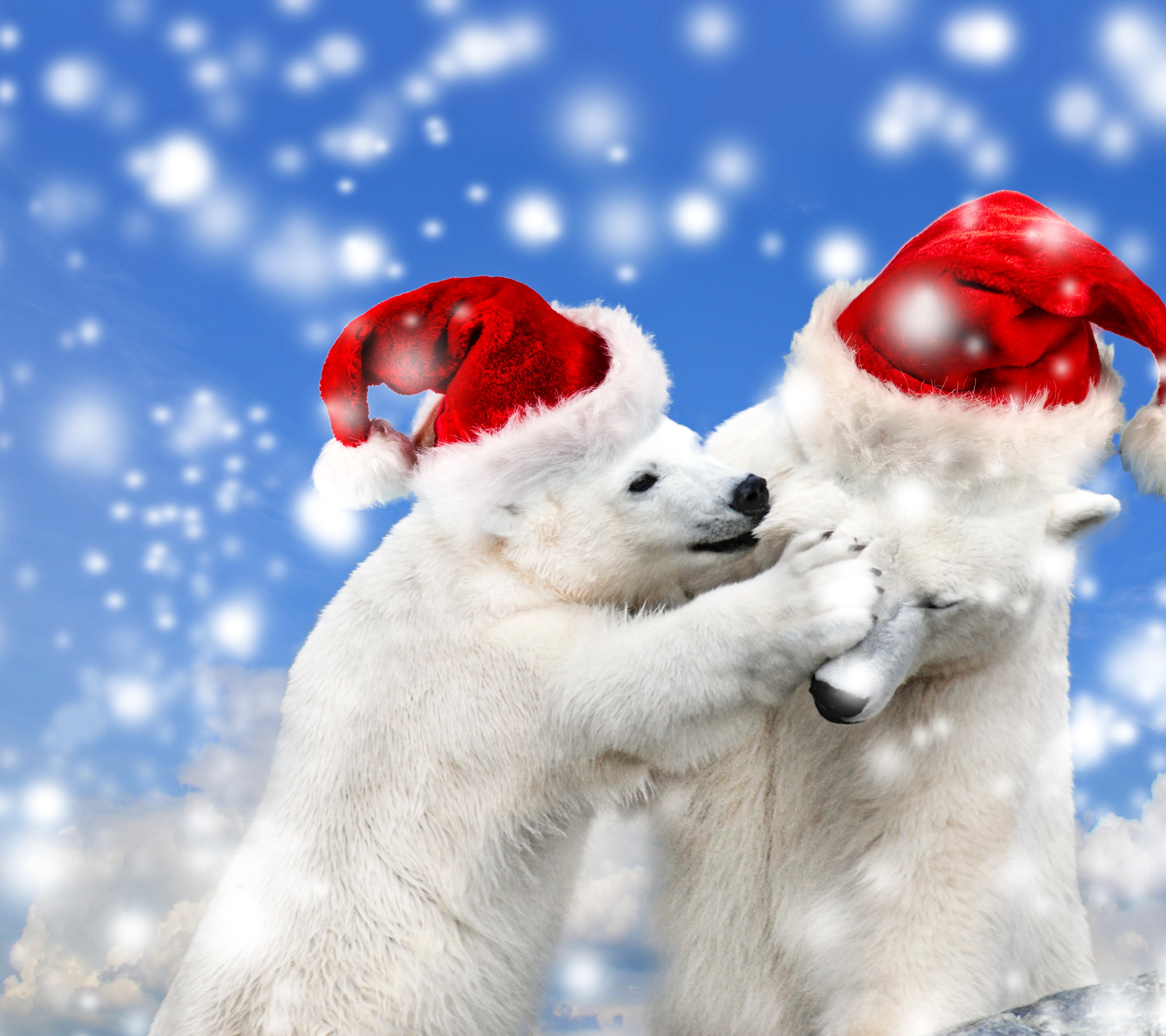 christmas bears wallpaper download